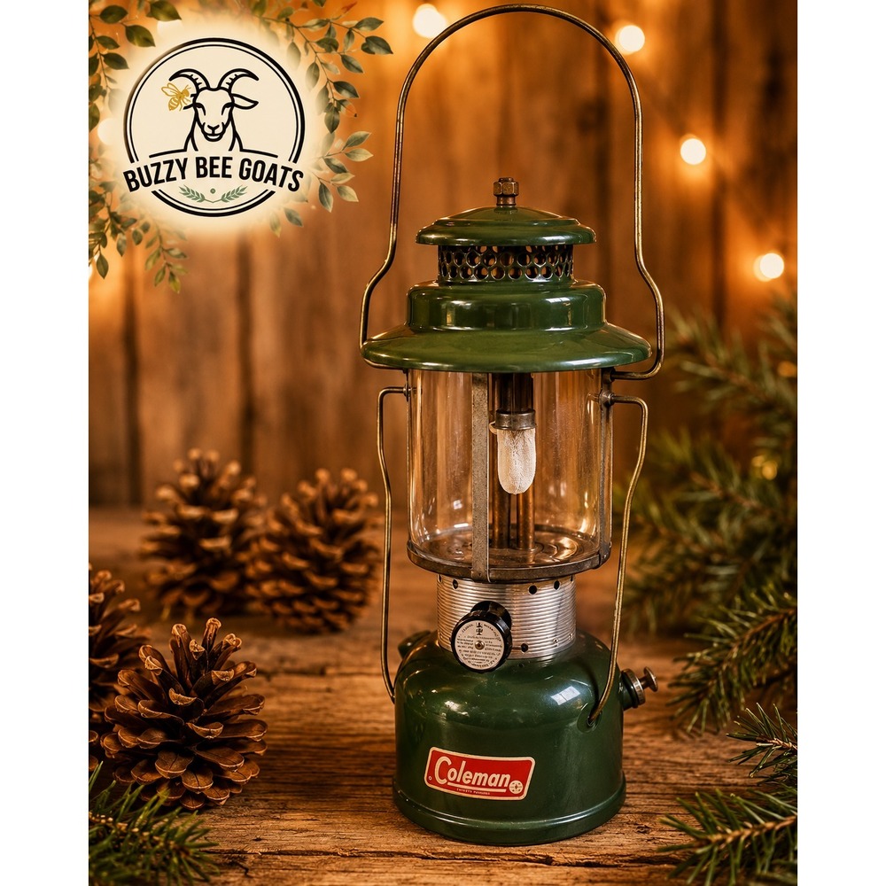 Coleman Lantern 220F Dated Feb 1966 Double Mantle Green Camping Vintage USA